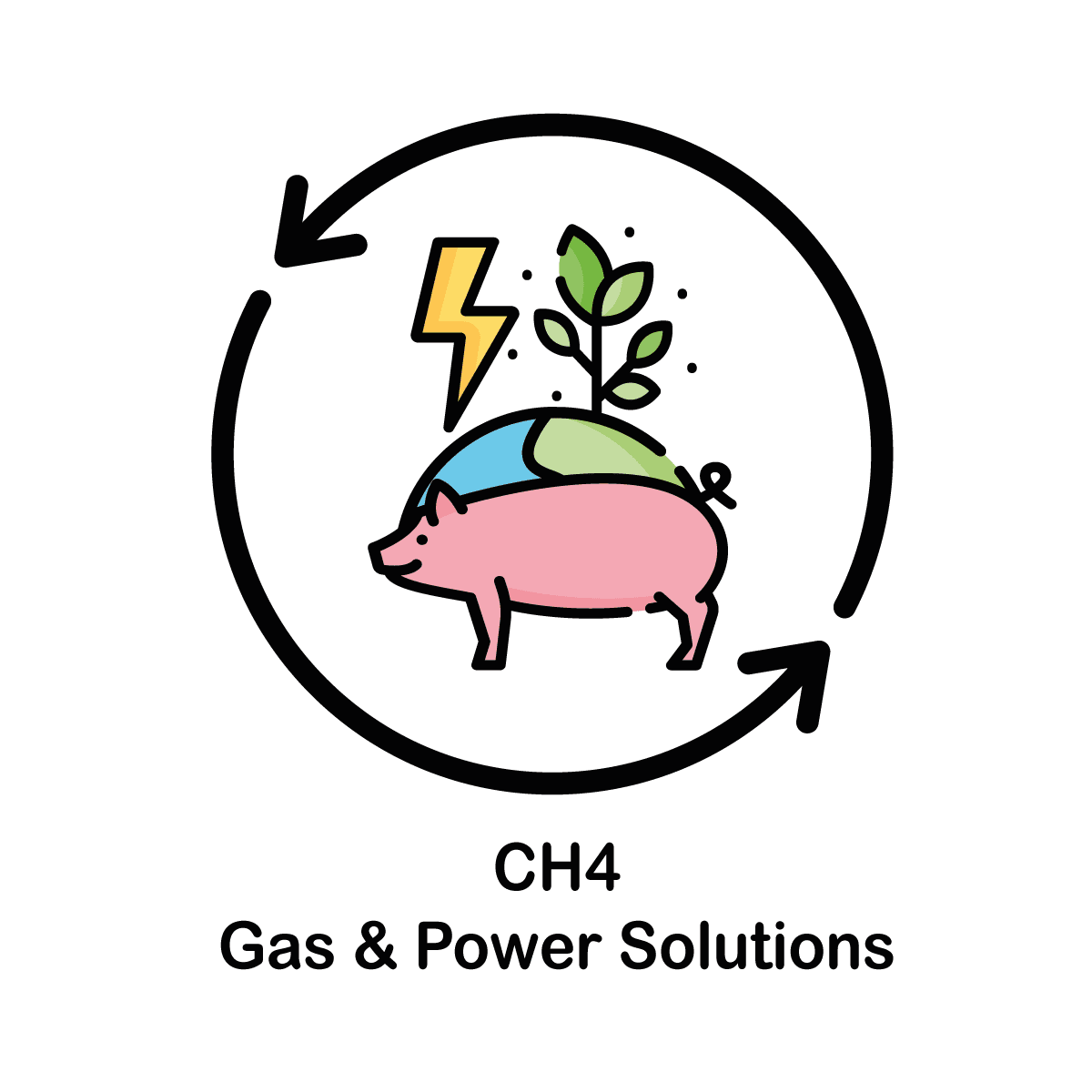 CH4 Gas & Power Solutions