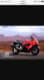 The Busa Shack