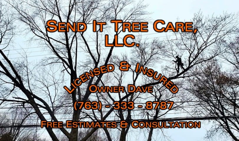 Send It Tree Care