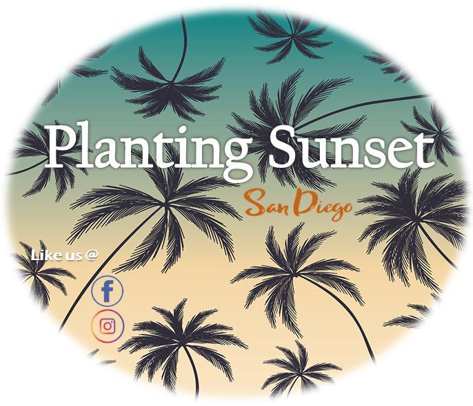 Planting Sunset, San Diego