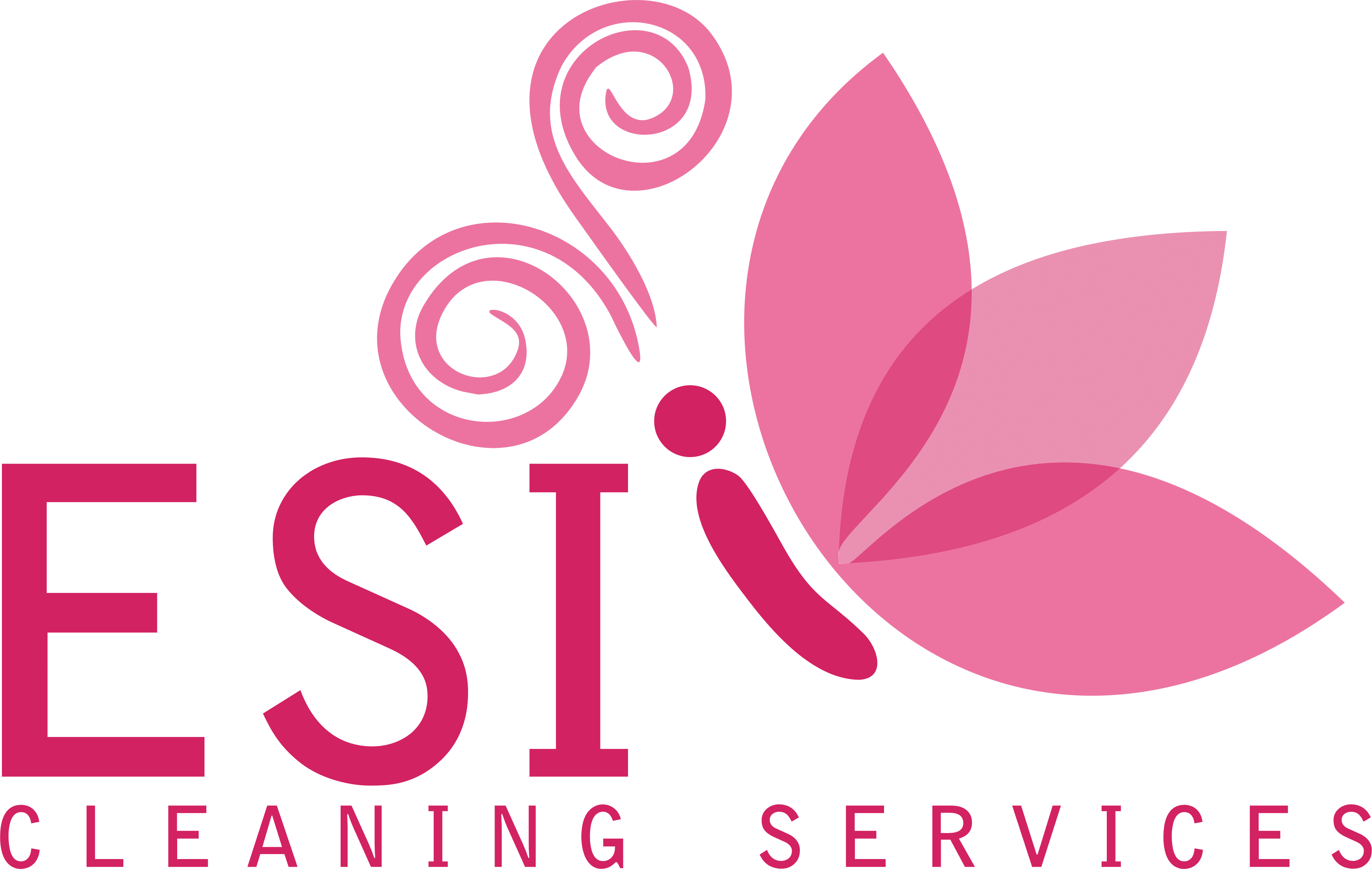 ESI Cleaning Services