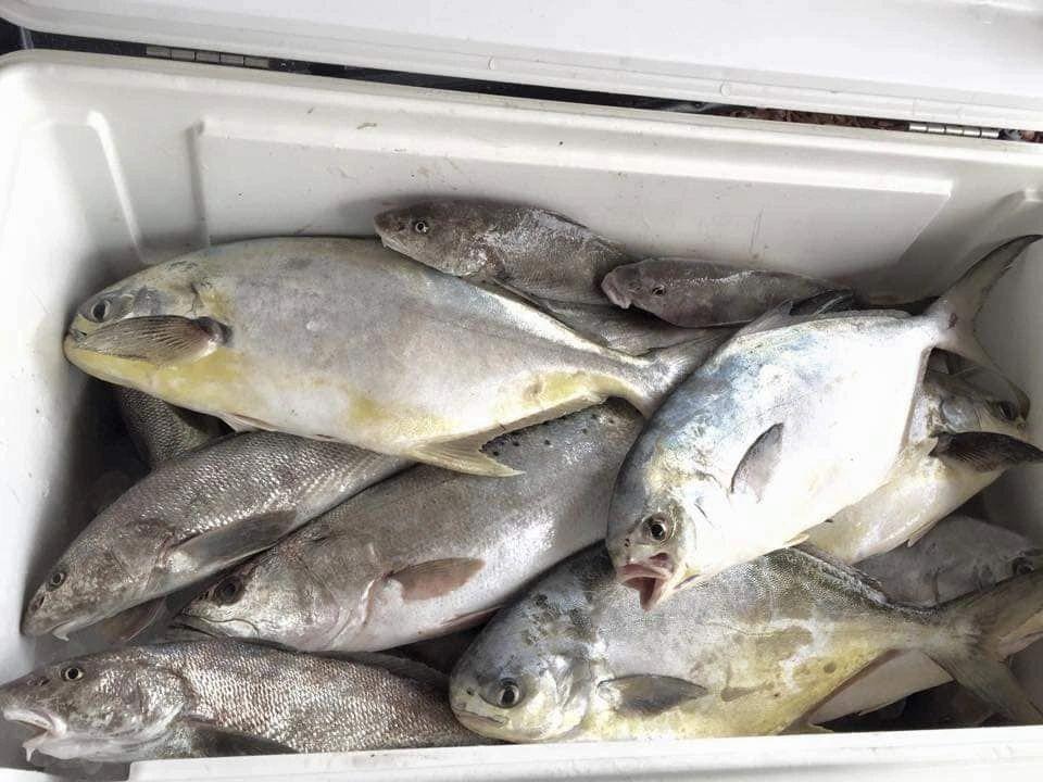 Try Beach Fishing in Daytona Beach Roy's Surf Fishing Guide Service