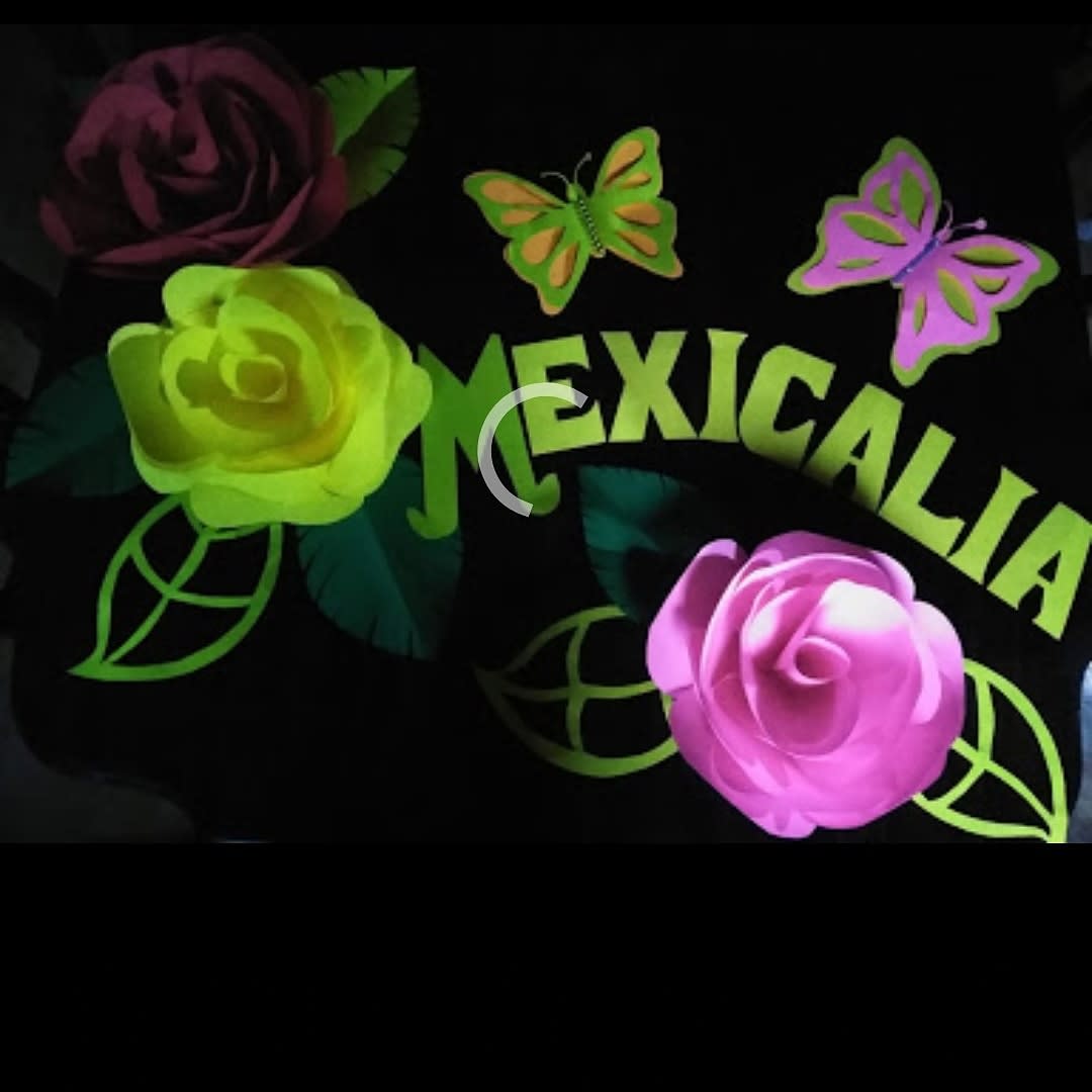 Mexicalia Artesanal