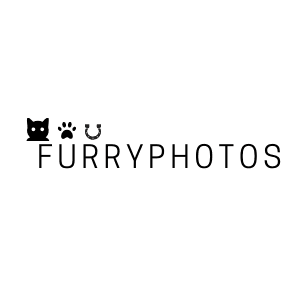 Furry Photos
