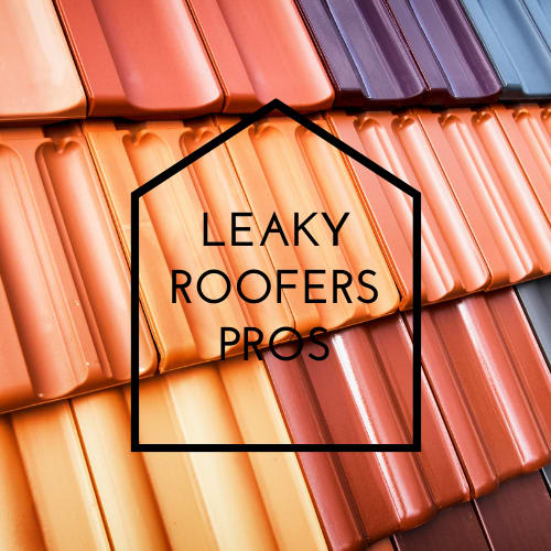 Leaky Roofers Pros