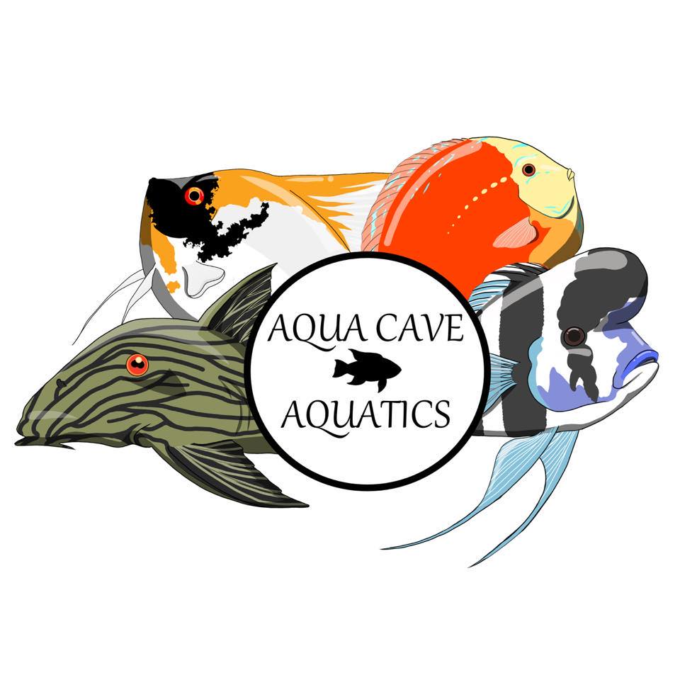 Aqua Cave Aquatics