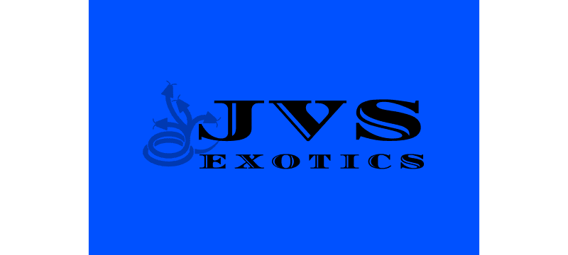 JVS Exotics