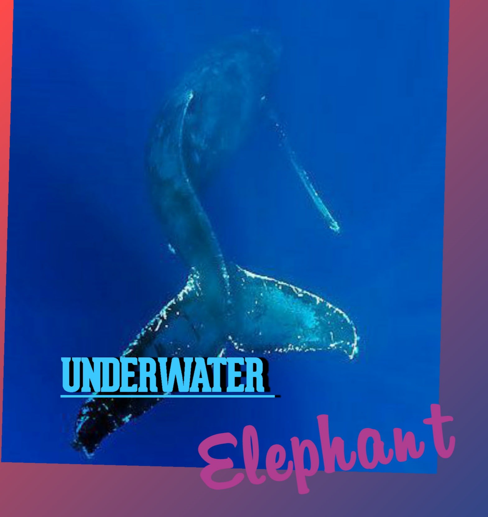 Underwater Elephant