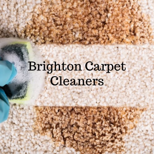 Brighton Carpet Cleaners