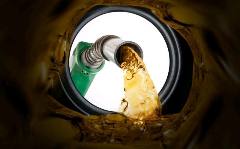 Rv Bioenergia
