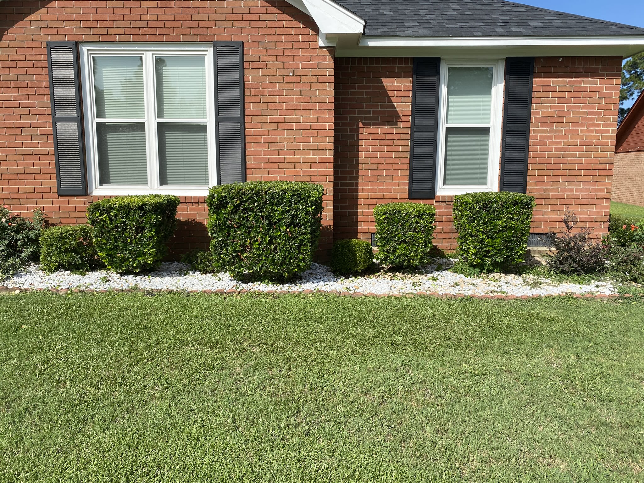 Bush Trimming Lawn Care Parkers Lawn Service Lawn Care Augusta Ga