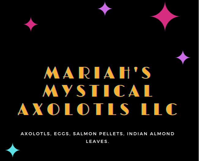 Mariahs Mystical Axolotls