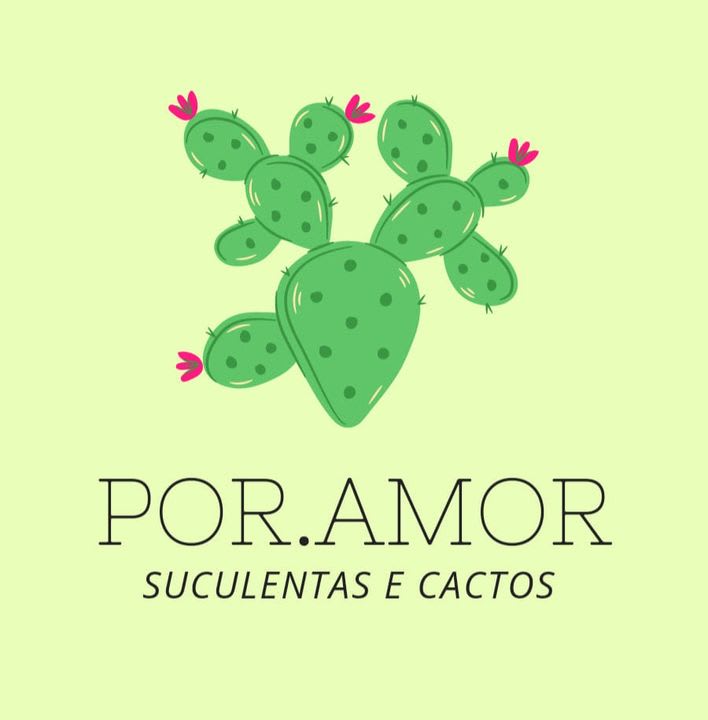 Por Amor Suculentas e Cactos