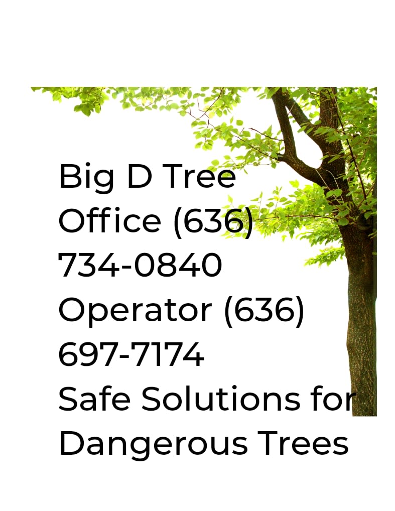 Big D Tree Service