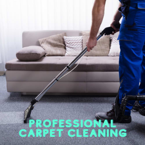 Professional Carpet Cleaning