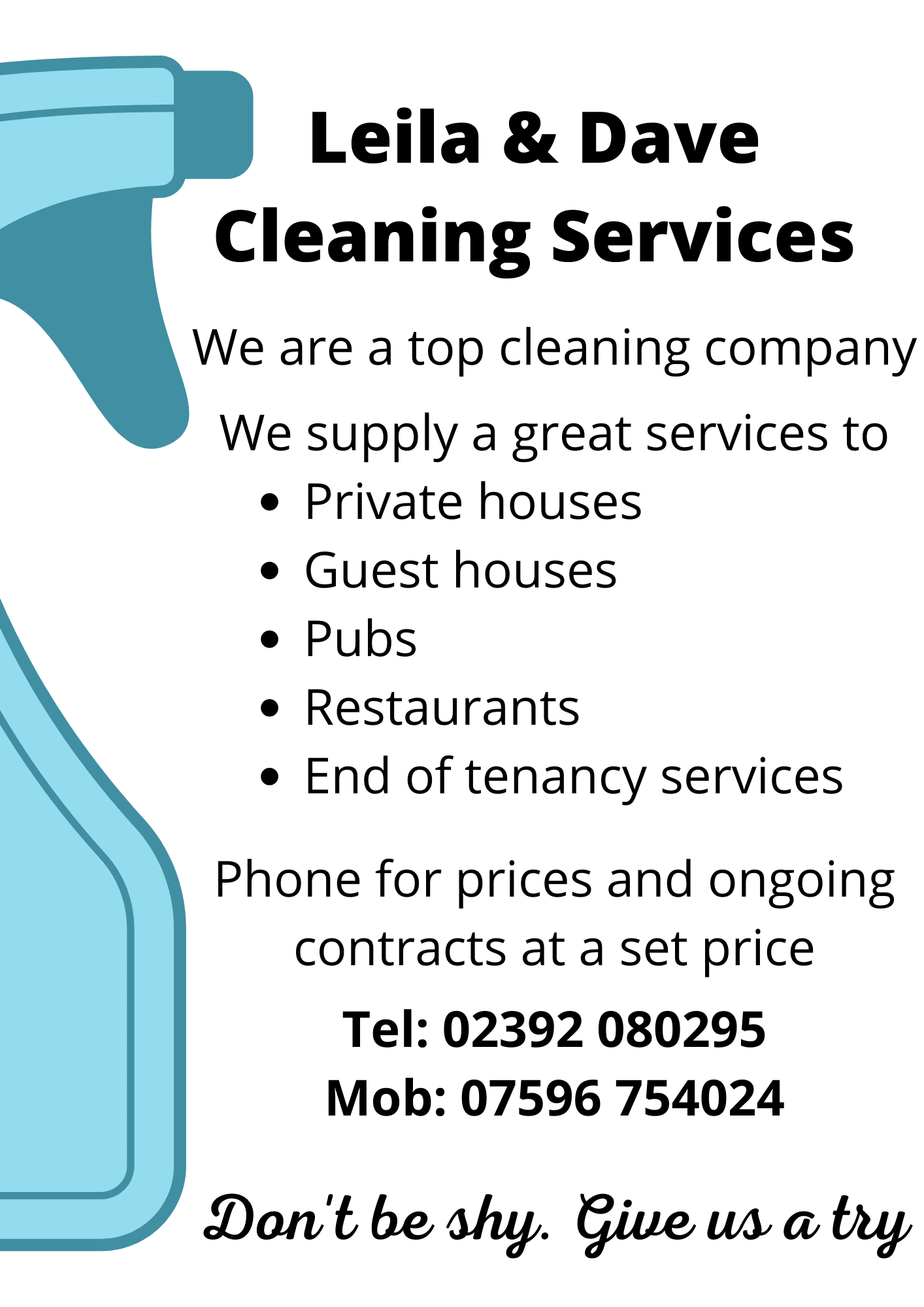 Leila and Dave's Cleaning Services