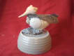 DriftAkitE Novelty SeaShells