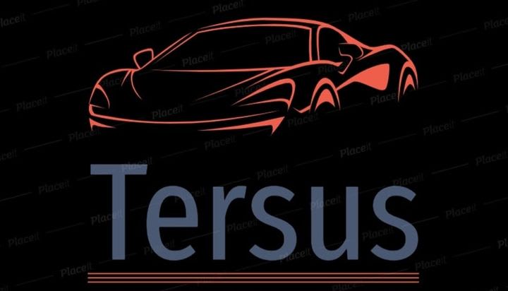 Tersus Detailing