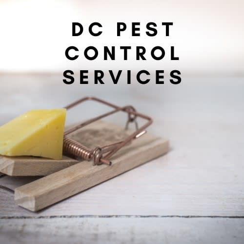 DC Pest Control Services