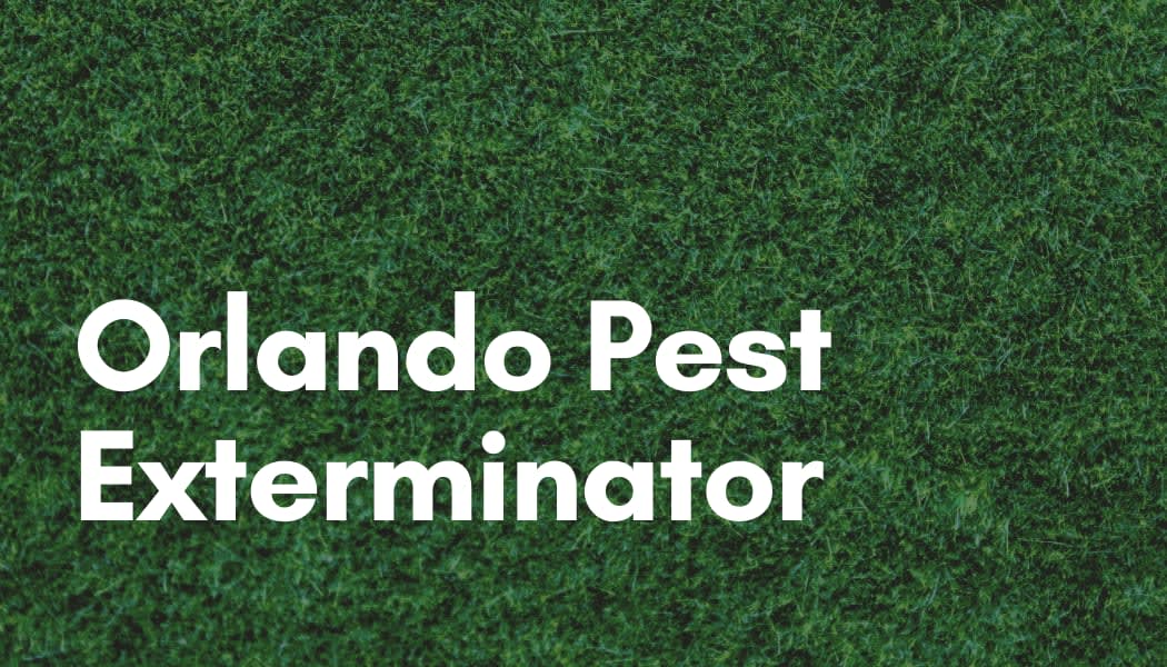 Orlando Pest Exterminator