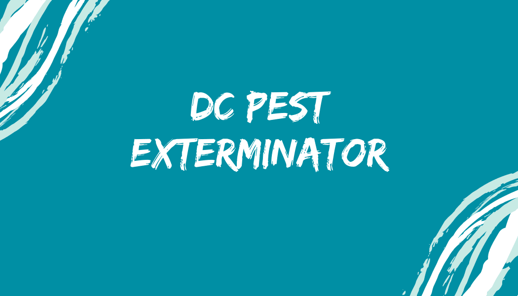 DC Pest Exterminator