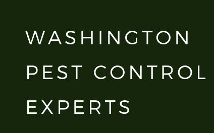 Washington Pest Control Experts