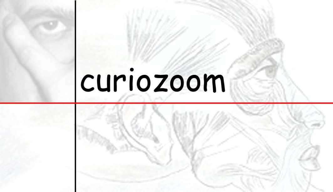 Curiozoom