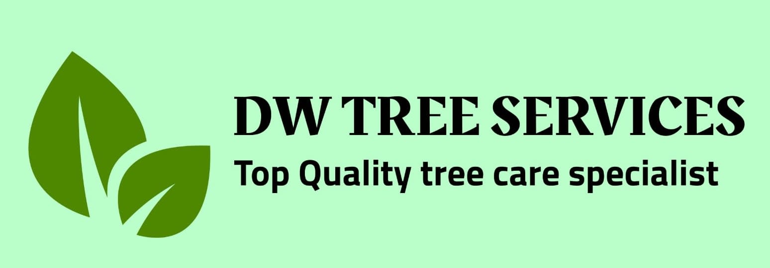 Dw Tree Services