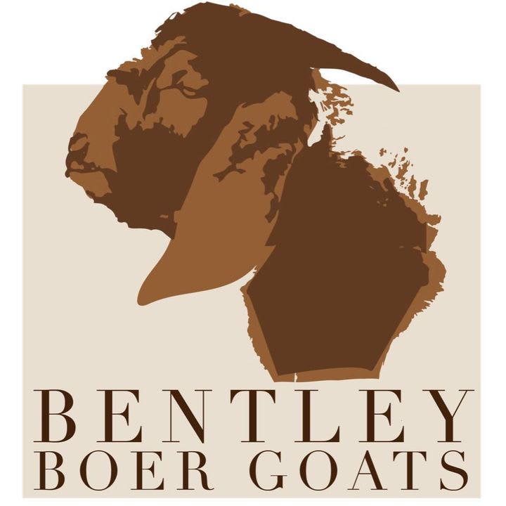 Bentley Boer Goats & Pedigree Sheep