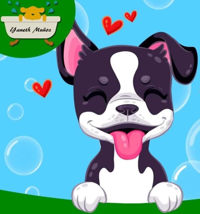 Peluquería Canina