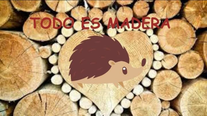 Todo es Madera