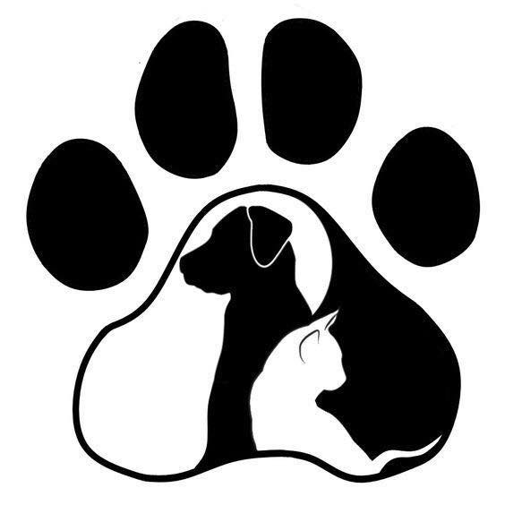 Claws n Paws Pet Sitterz