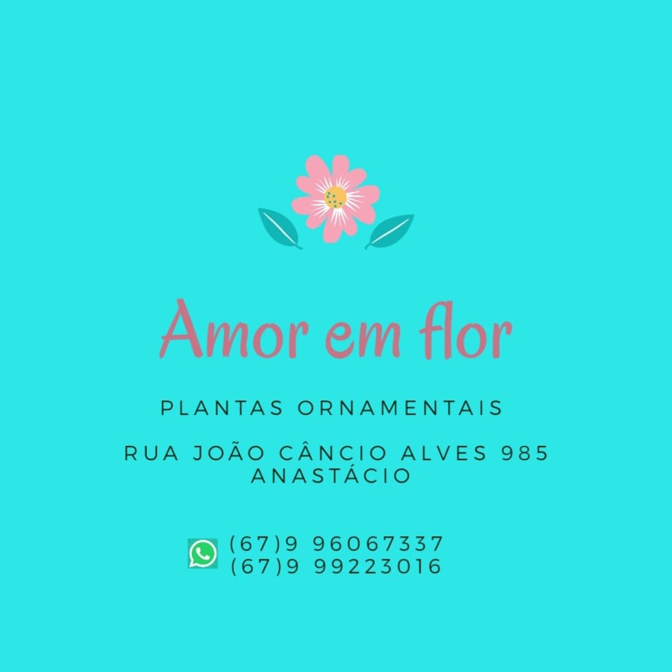 Amor em Flor