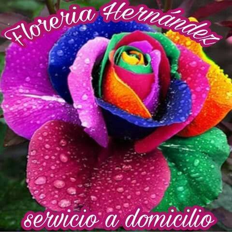 Florería Hernández