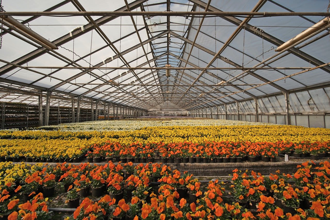 Invernaderos Ramírez | Jardinería En Ciudad De México