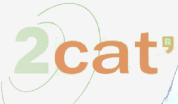 2 Cat News and Media