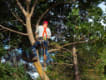 R And M Tree Service