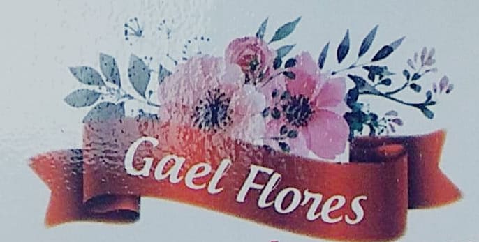 Gael Flores DF