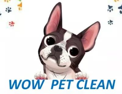 Wow Pet Clean