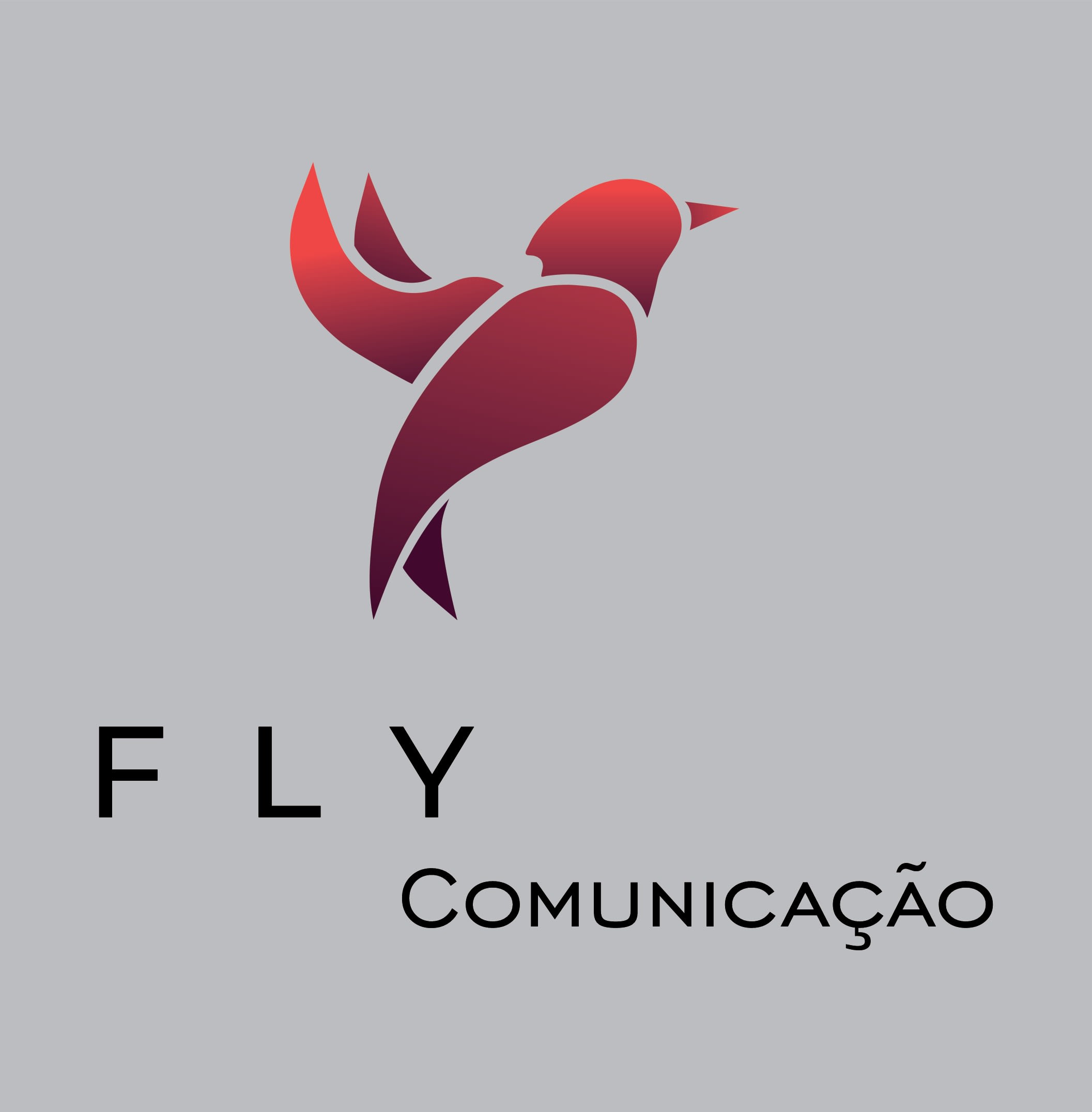 Fly Comunicação