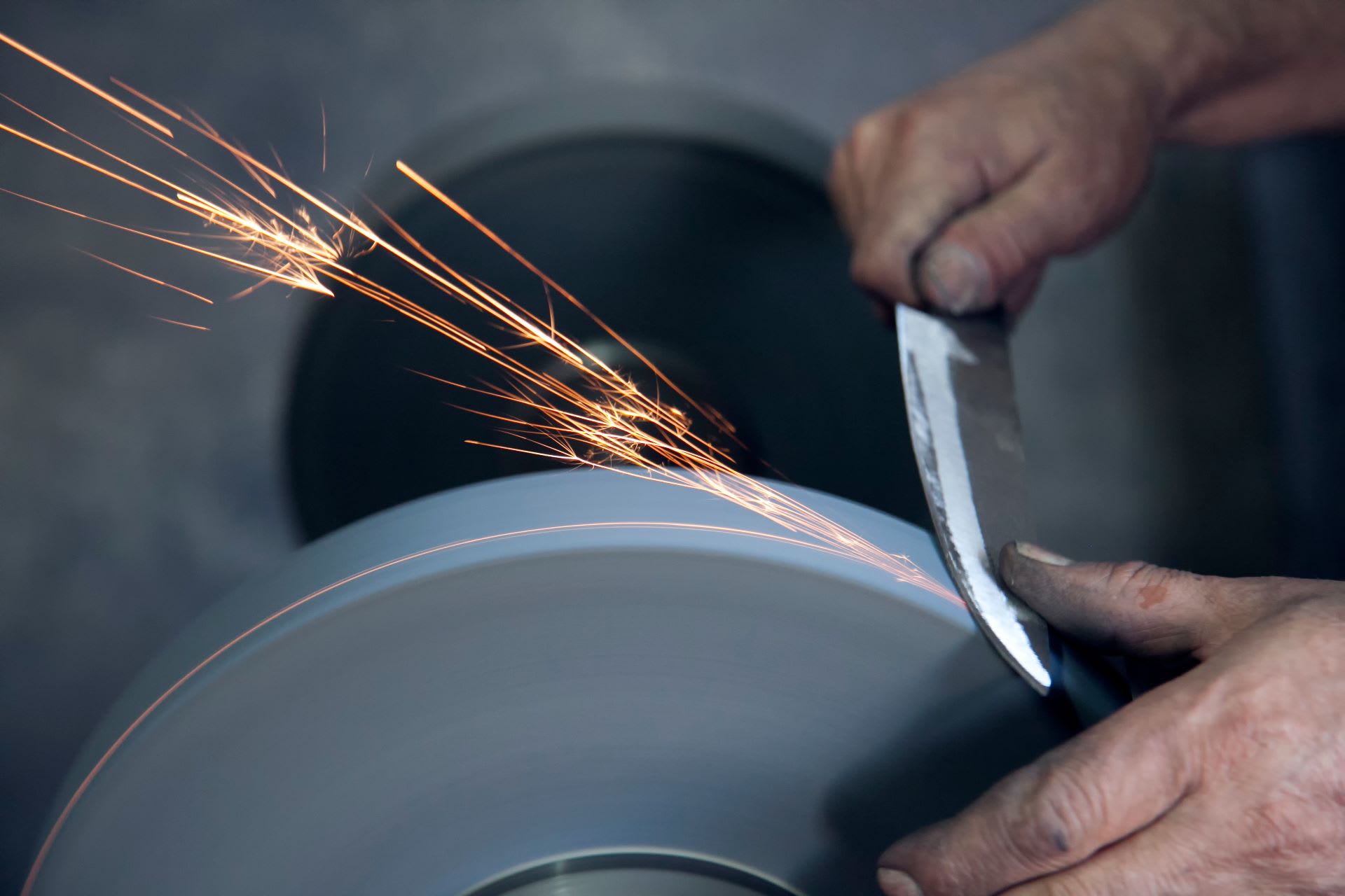 dog clipper sharpening service