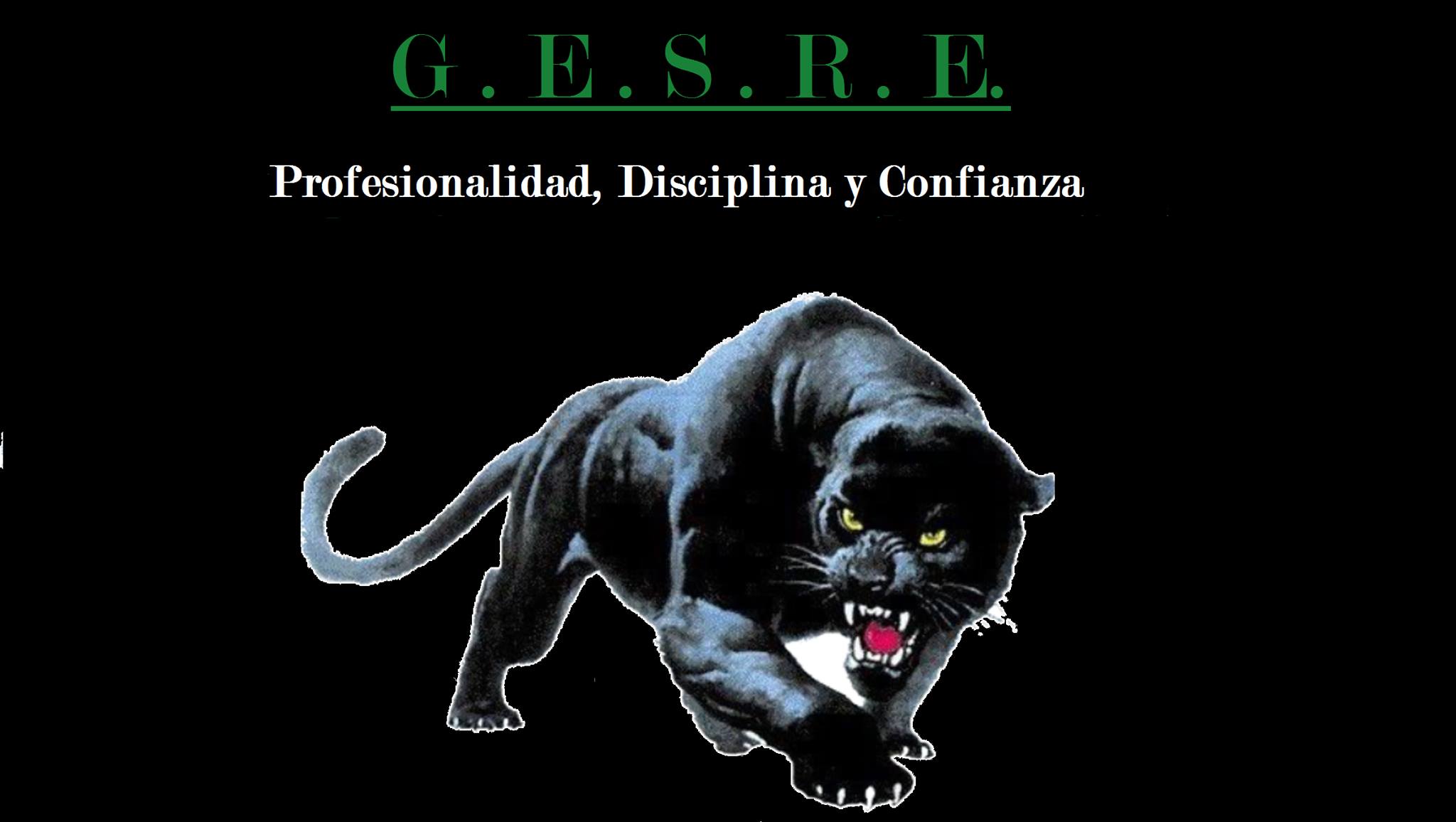Gesre Seguridad Privada