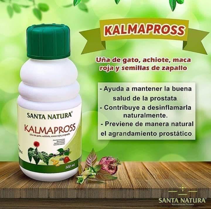 CONCENTRADO DE ALCACHOFA - Productos naturales - CDR Santa Natura San Juan  de Lurigancho | Lima