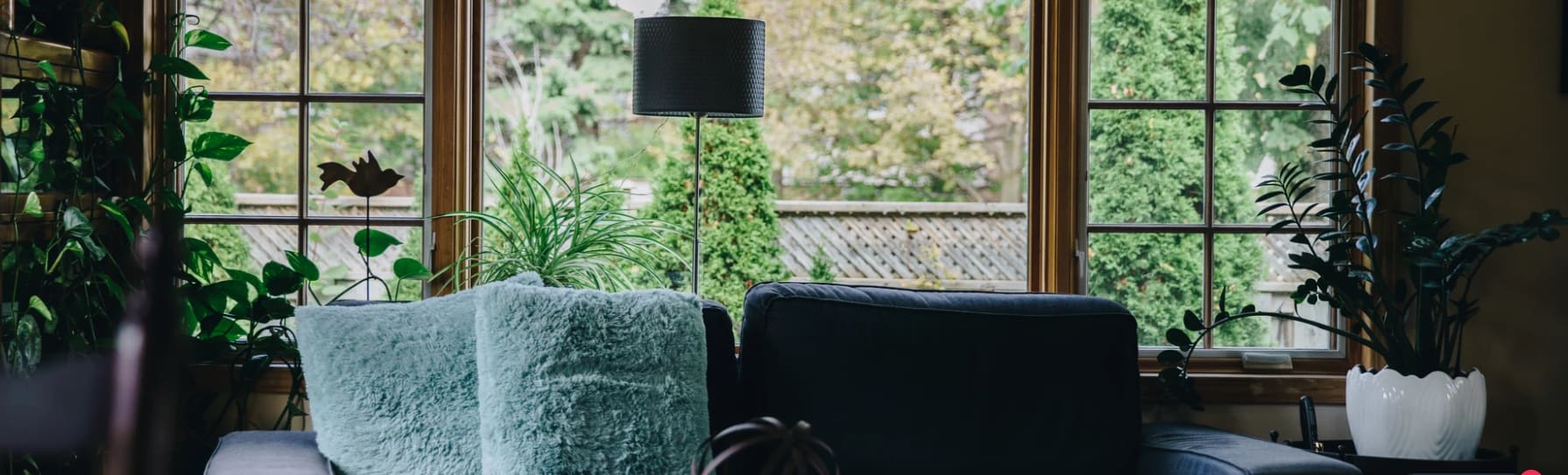 Frazer and Sons Furniture Manchester