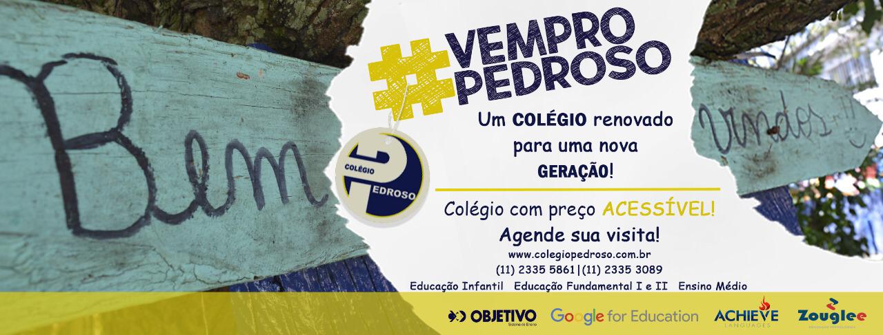 Colegio Pedroso Ss Ltda