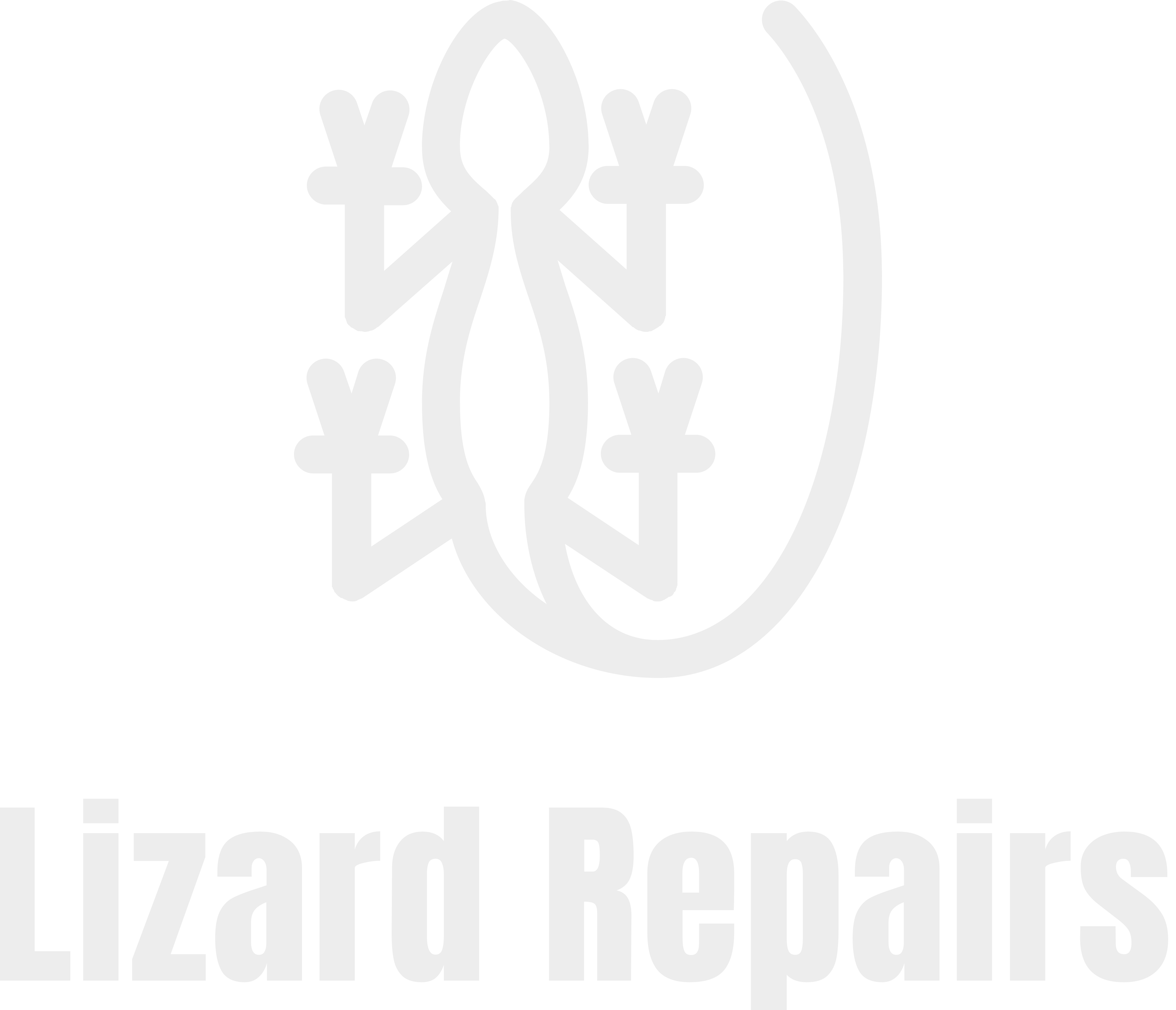 Lizard Repairs