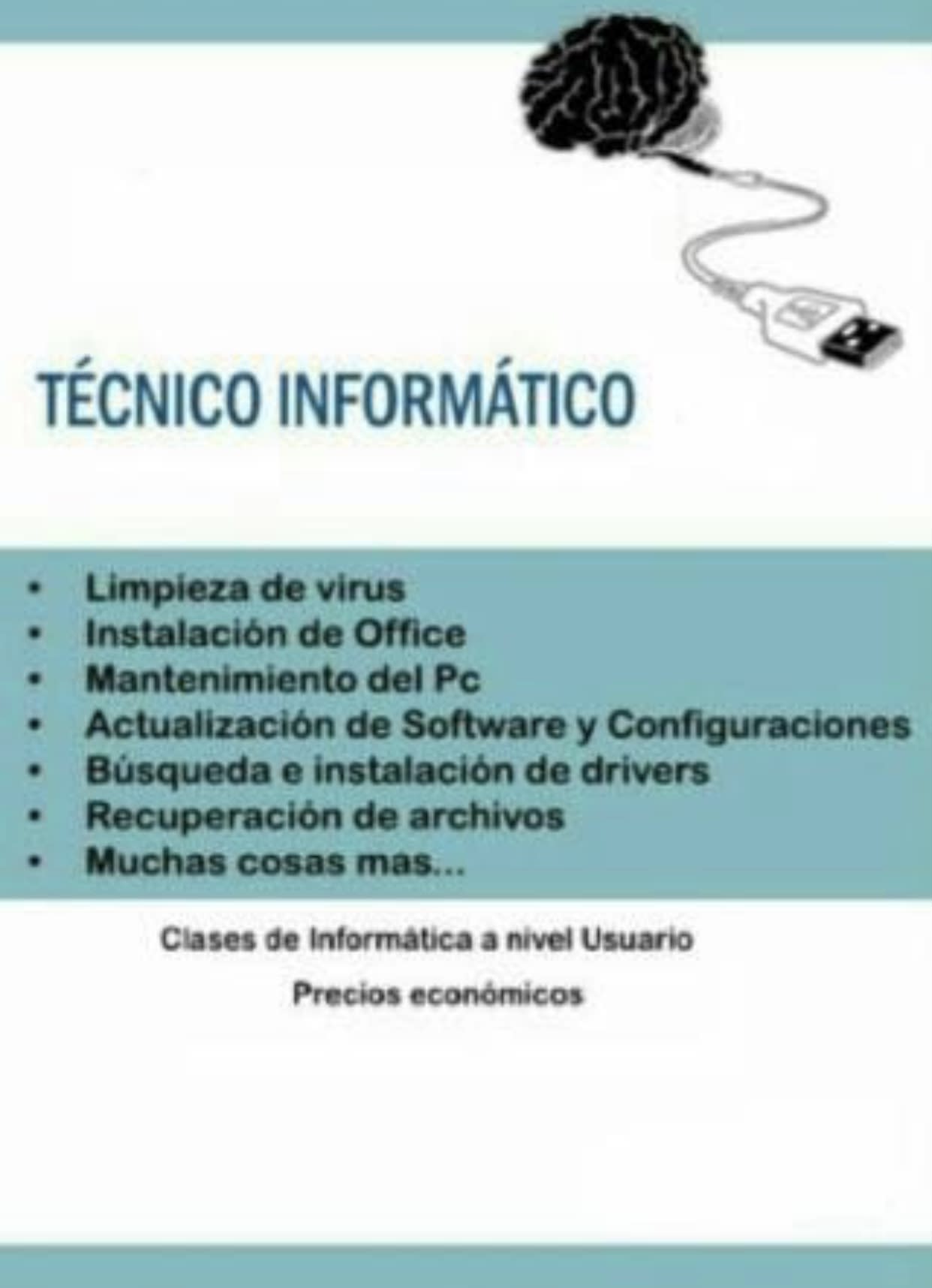 Técnico Informático