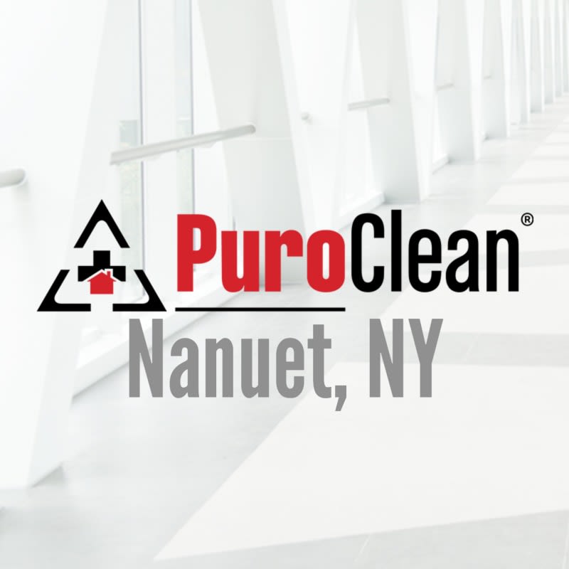 PuroClean Emergency Restoration Specialists