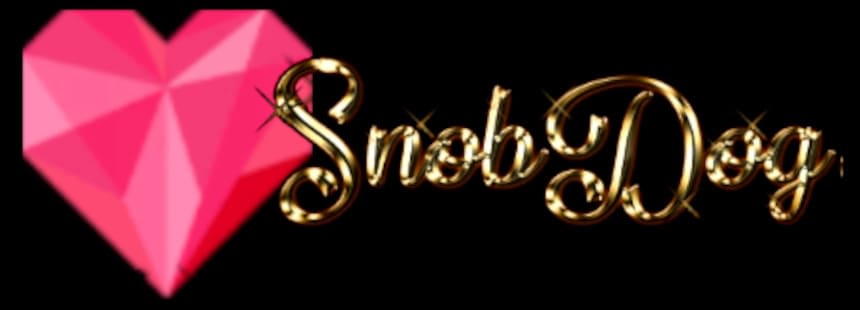 Petwear Snob Dog