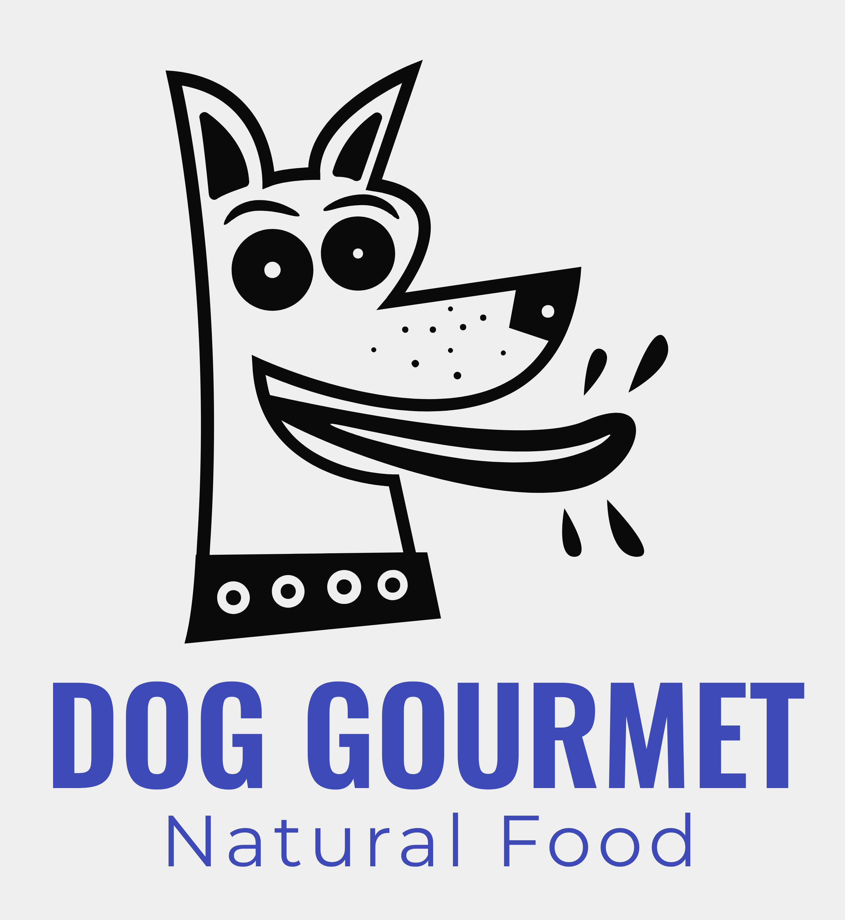 Dog Gourmet Natural Food